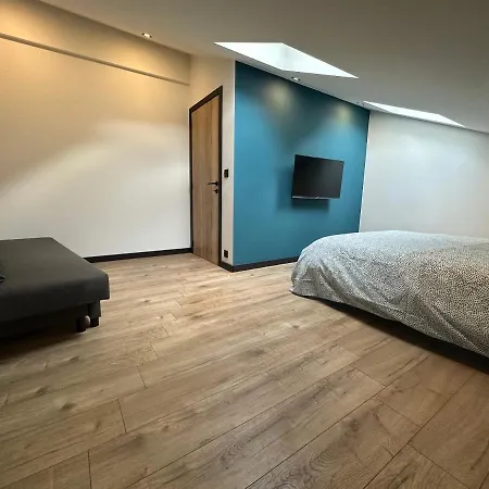 Lfa Magnifique Loft Veritable Avec Sauna Villa Flemalle-Grande
