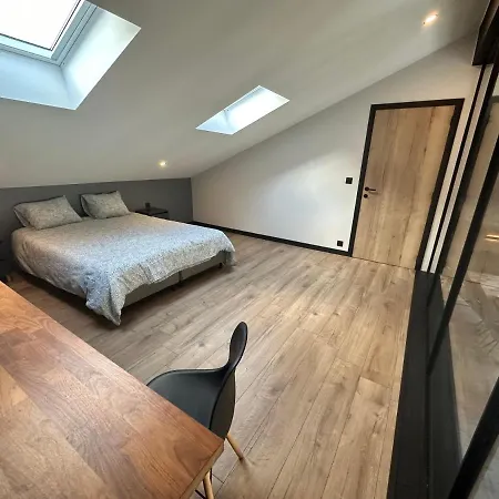 Lfa Magnifique Loft Veritable Avec Sauna Villa *