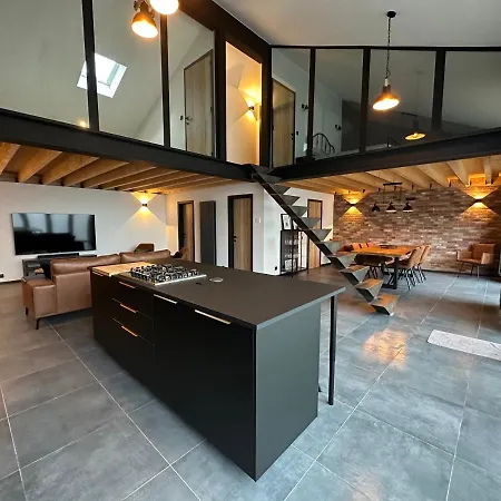 Lfa Magnifique Loft Veritable Avec Sauna Villa *